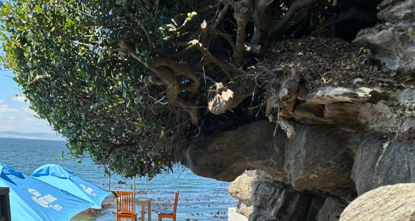 Rare & Out-of-This-World Coastal Restaurants in the Western Cape